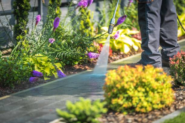 Animal Enclosure Cleaning in Chardon, OH